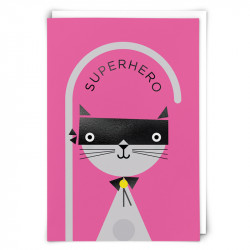 Superhero Cat / BERT06