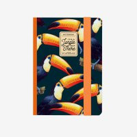 PHOTO NOTEBOOK  SMALL LINED - TOUCANS