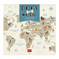 UNCOATED PAPER CALENDAR 2022 - 30X29 cm DOGS OF THE WORLD