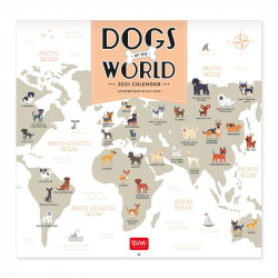 UNCOATED PAPER CALENDAR 2021 - 30X29 cm DOGS OF THE WORLD
