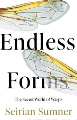 Endless Forms : The Secret World of Wasps