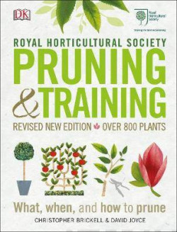 Pruning and training