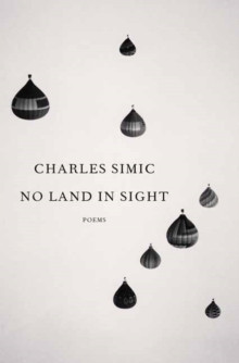 No Land in Sight : Poems