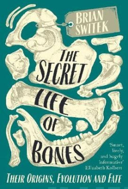 The Secret Life of Bones : Their Origins, Evolution and Fate