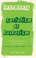 Socialism or Barbarism?