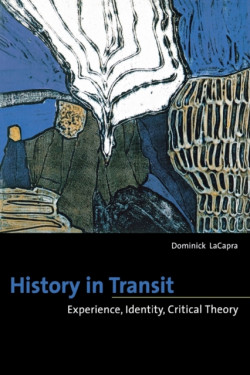 History in Transit : Experience, Identity, Critical Theory