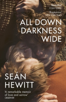 All Down Darkness Wide : A Memoir