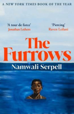 The Furrows : From the Prize-winning author of The Old Drift