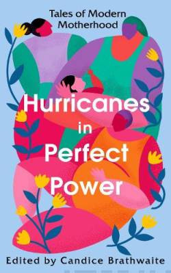 Hurricanes in Perfect Power : Tales of Modern Motherhood