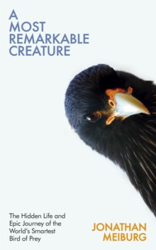 A Most Remarkable Creature : The Hidden Life and Epic Journey of the Worlds Smartest Bird of Prey