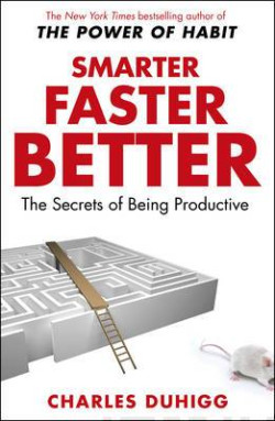 Smarter Faster Better : The Secrets of Being Productive