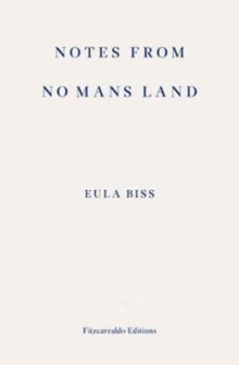 Notes from No Man’s Land : American Essays