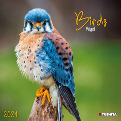 Birds in our Garden 2024