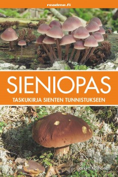 Sieniopas 5p - Bestseller
